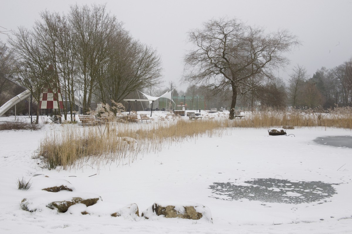 23.01.2019_Editpress_453199