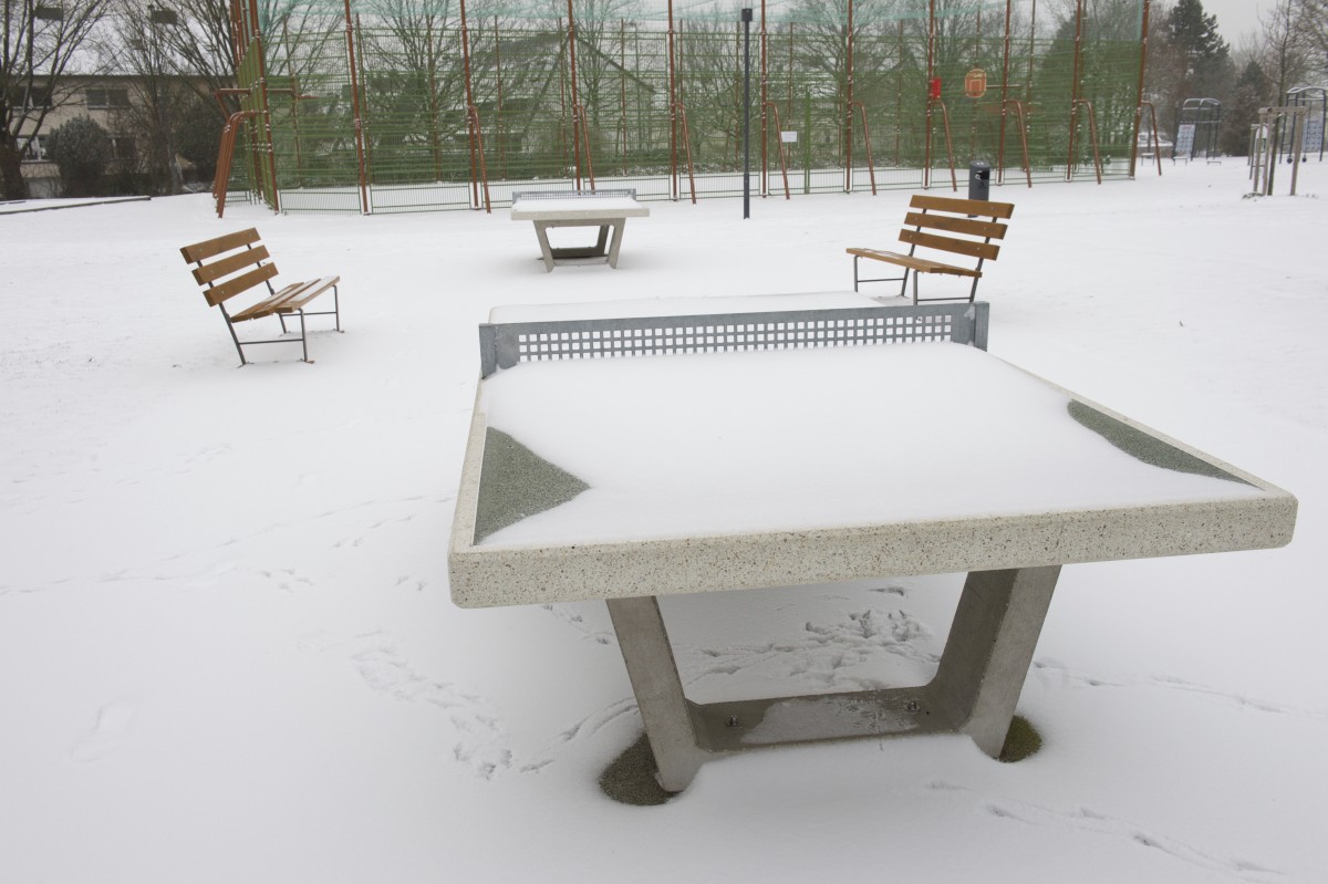 23.01.2019_Editpress_453201