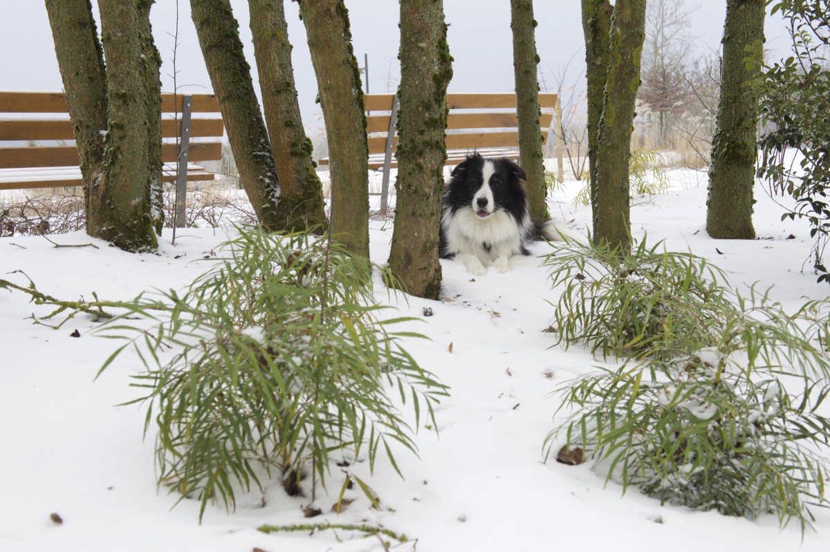 23.01.2019_Editpress_453202