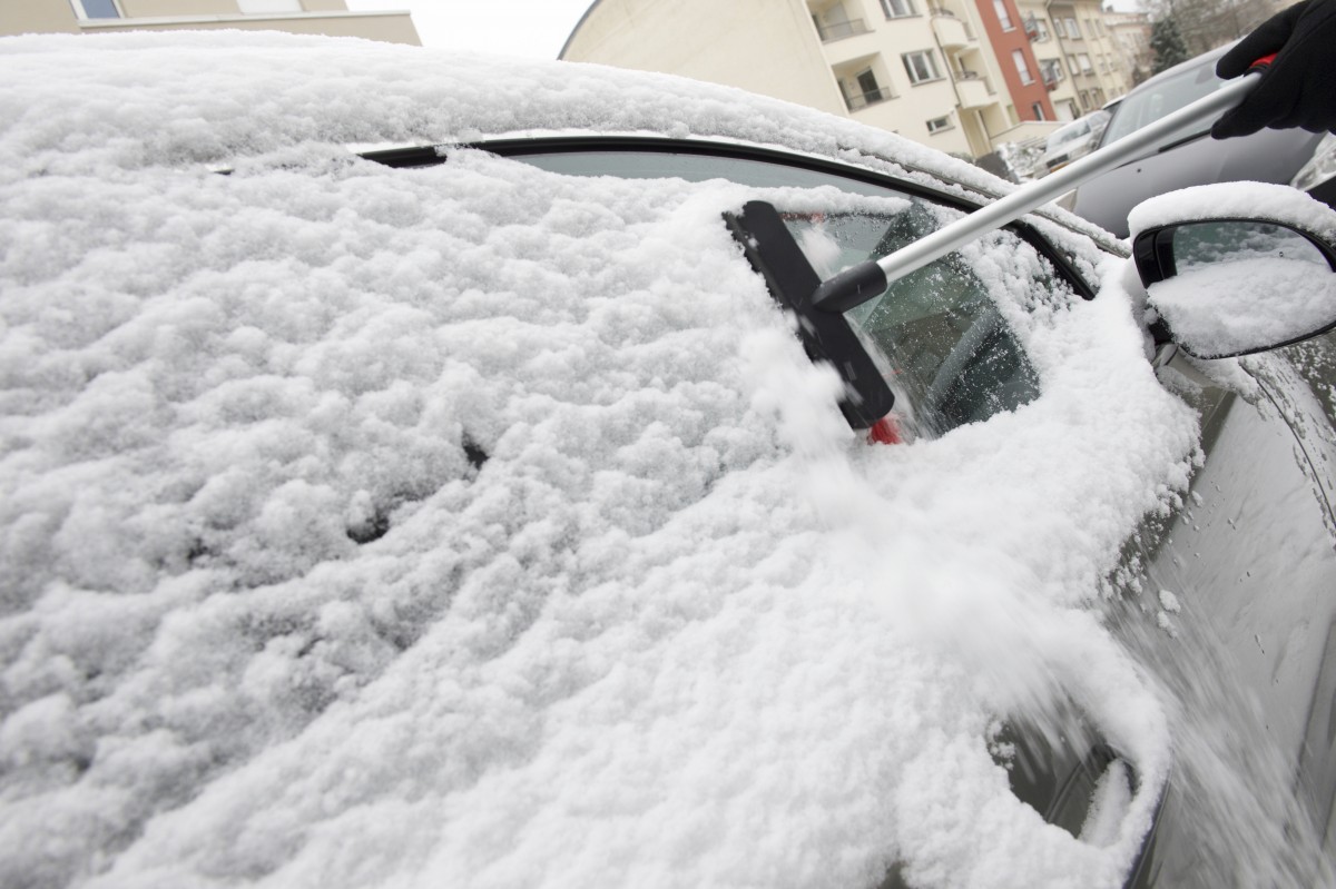 23.01.2019_Editpress_453205