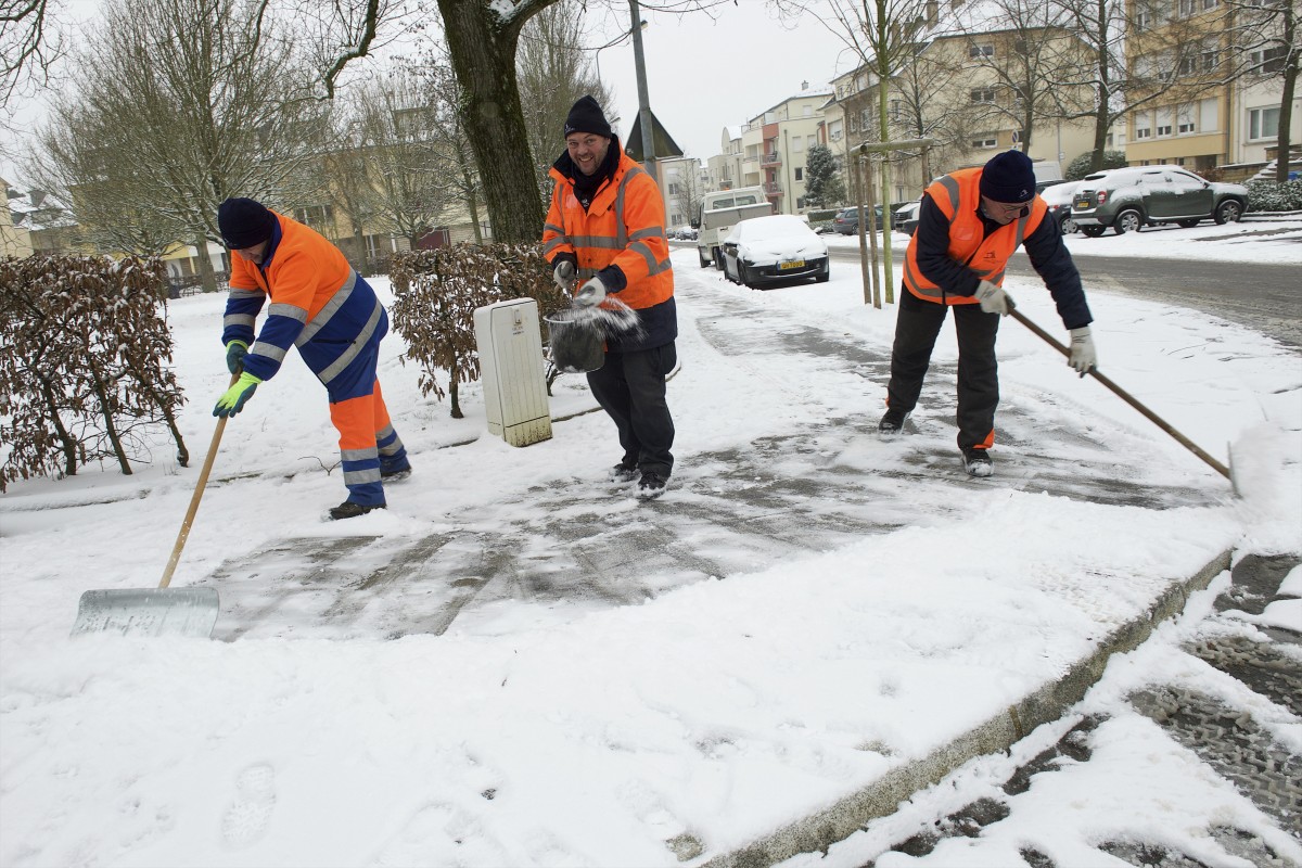 23.01.2019_Editpress_453207