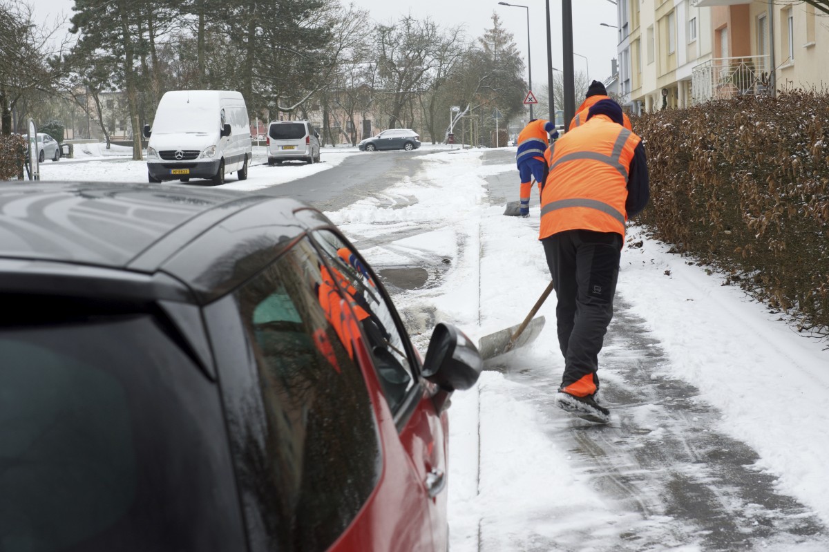 23.01.2019_Editpress_453209