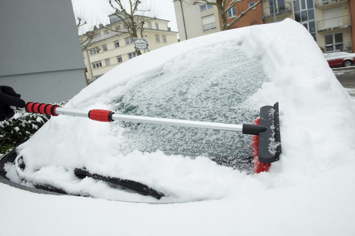 23.01.2019_Editpress_453210