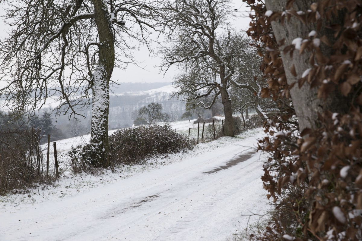 23.01.2019_Editpress_453265