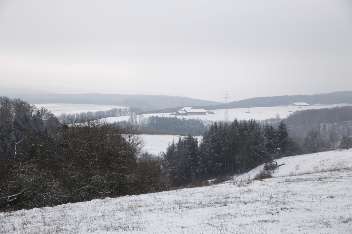 23.01.2019_Editpress_453266