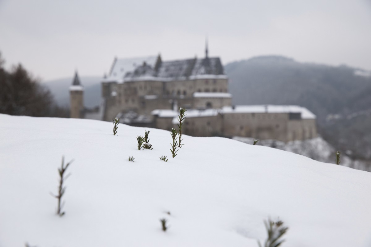 23.01.2019_Editpress_453270