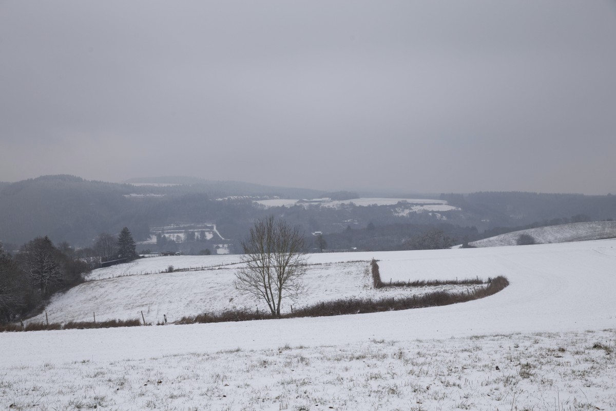 23.01.2019_Editpress_453271