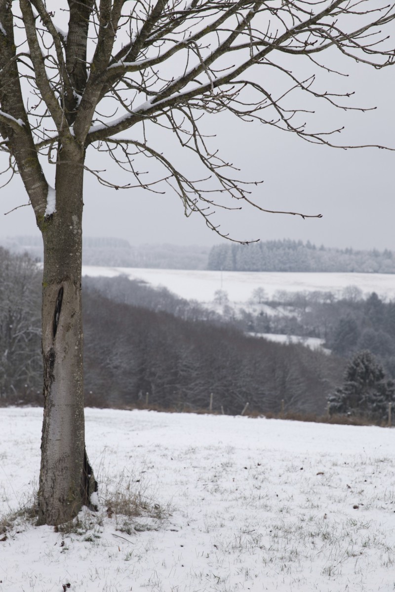 23.01.2019_Editpress_453272