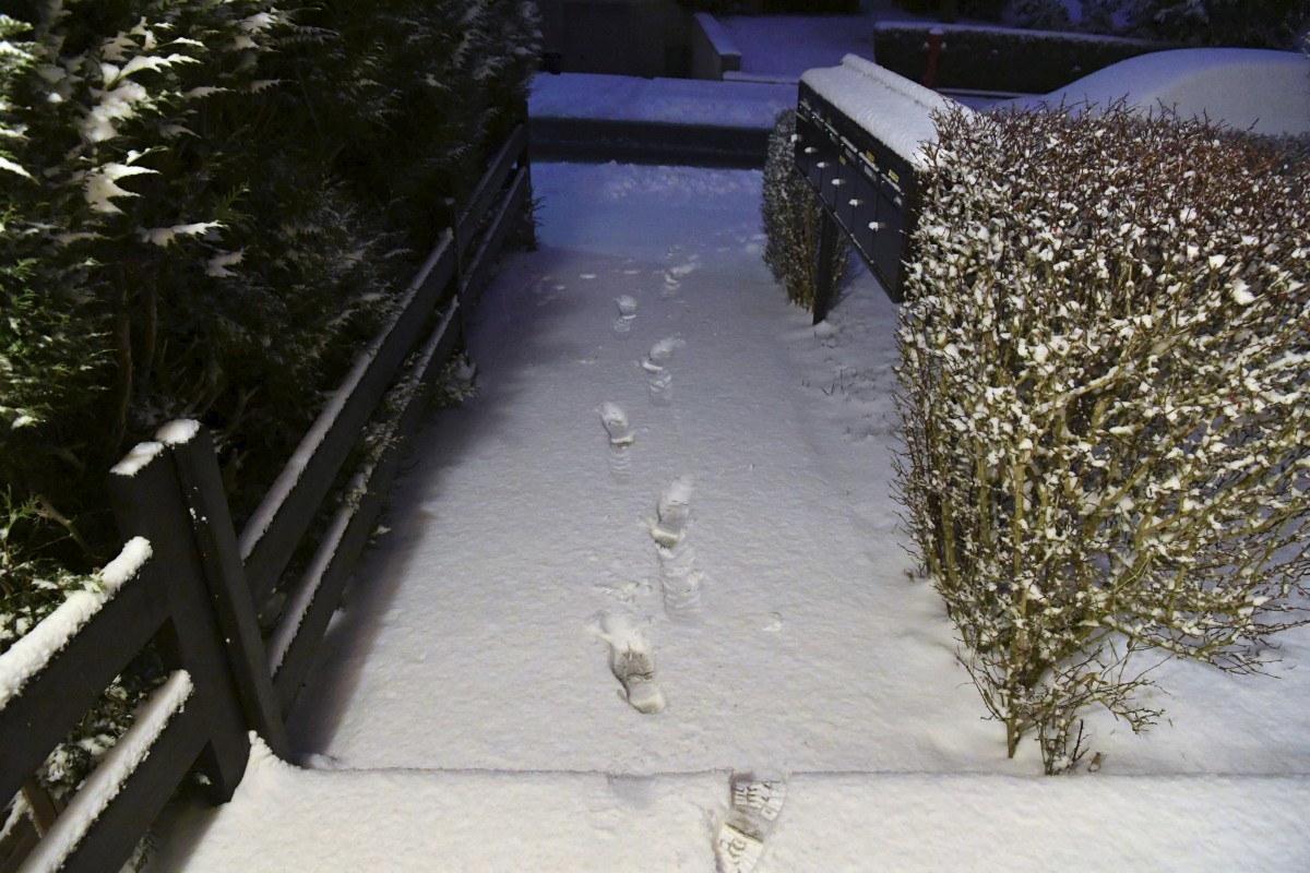 30.01.2019_Editpress_454376