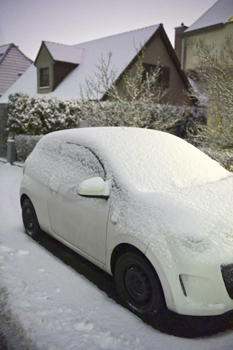 30.01.2019_Editpress_454377