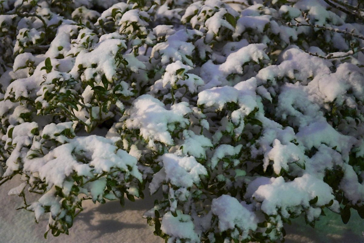 30.01.2019_Editpress_454380