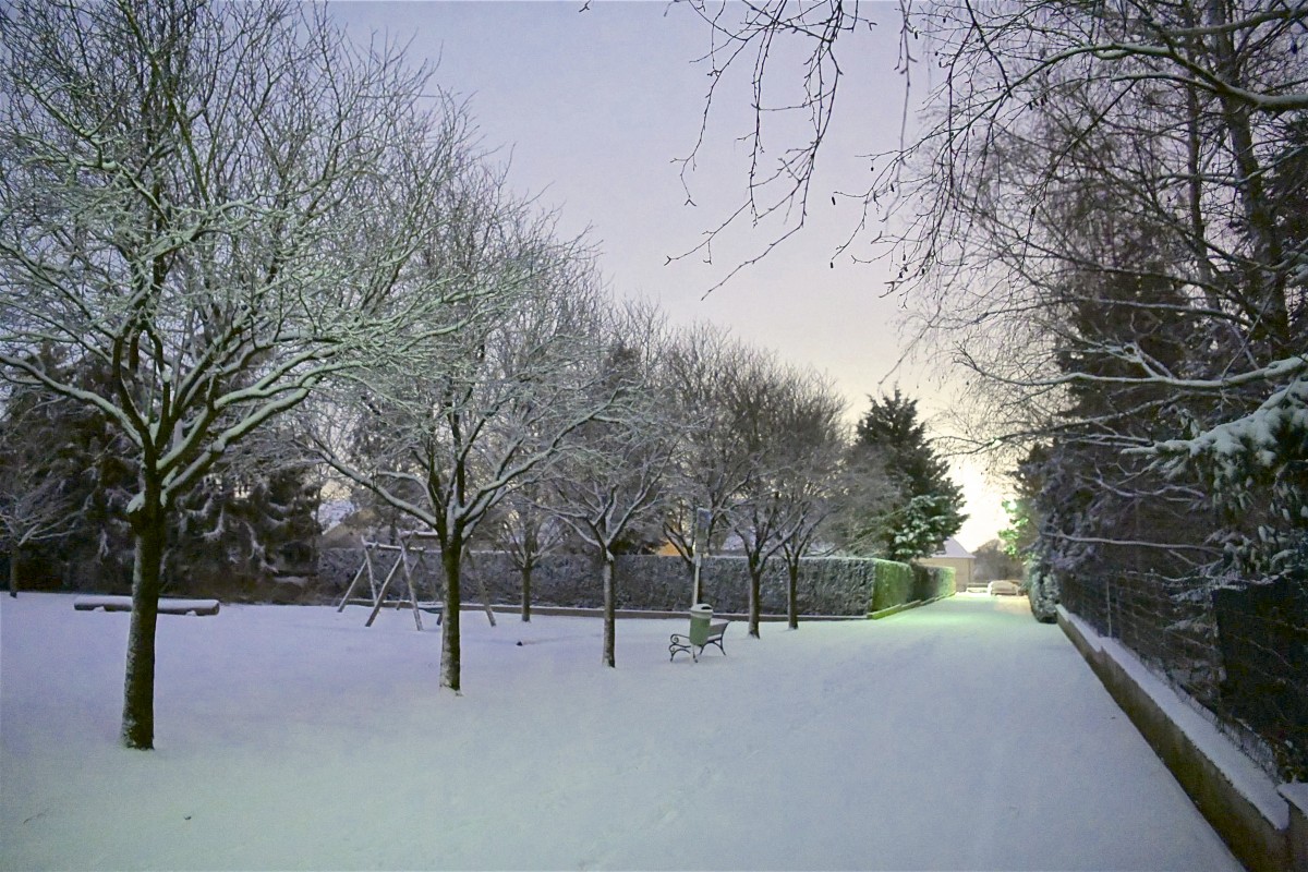 30.01.2019_Editpress_454381