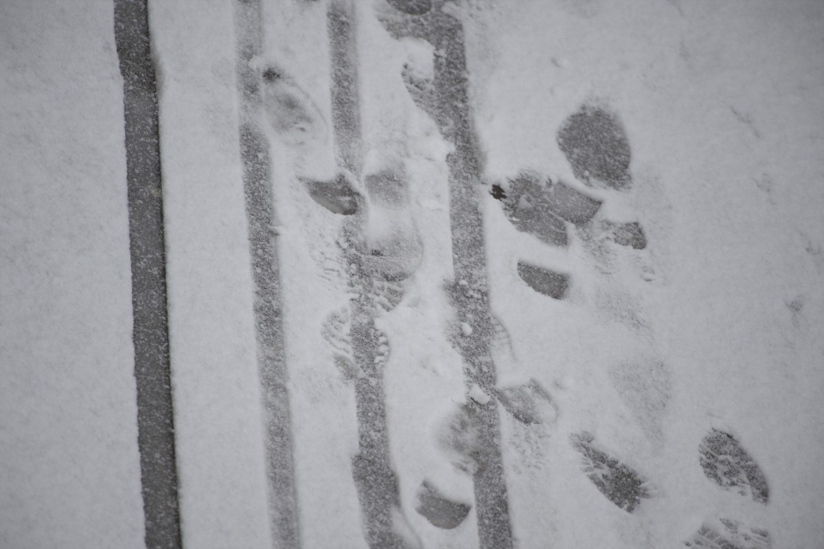 30.01.2019_Editpress_454396