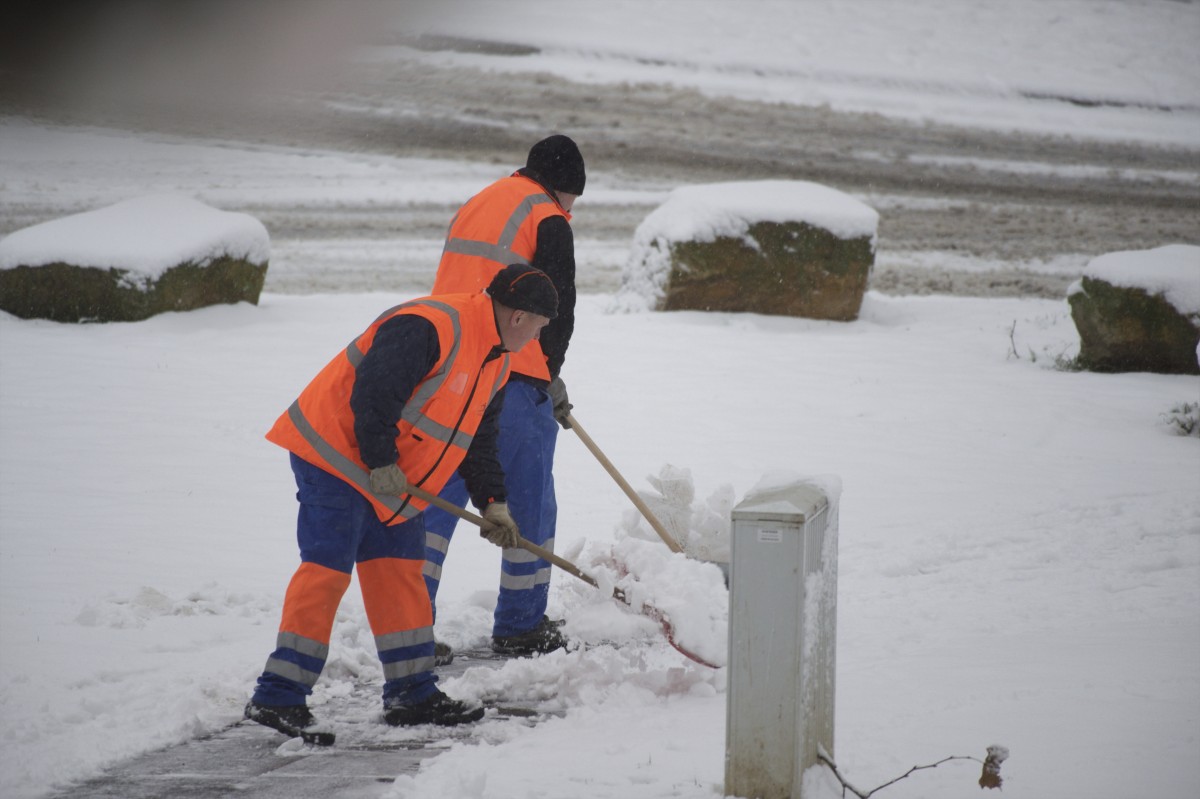 30.01.2019_Editpress_454399