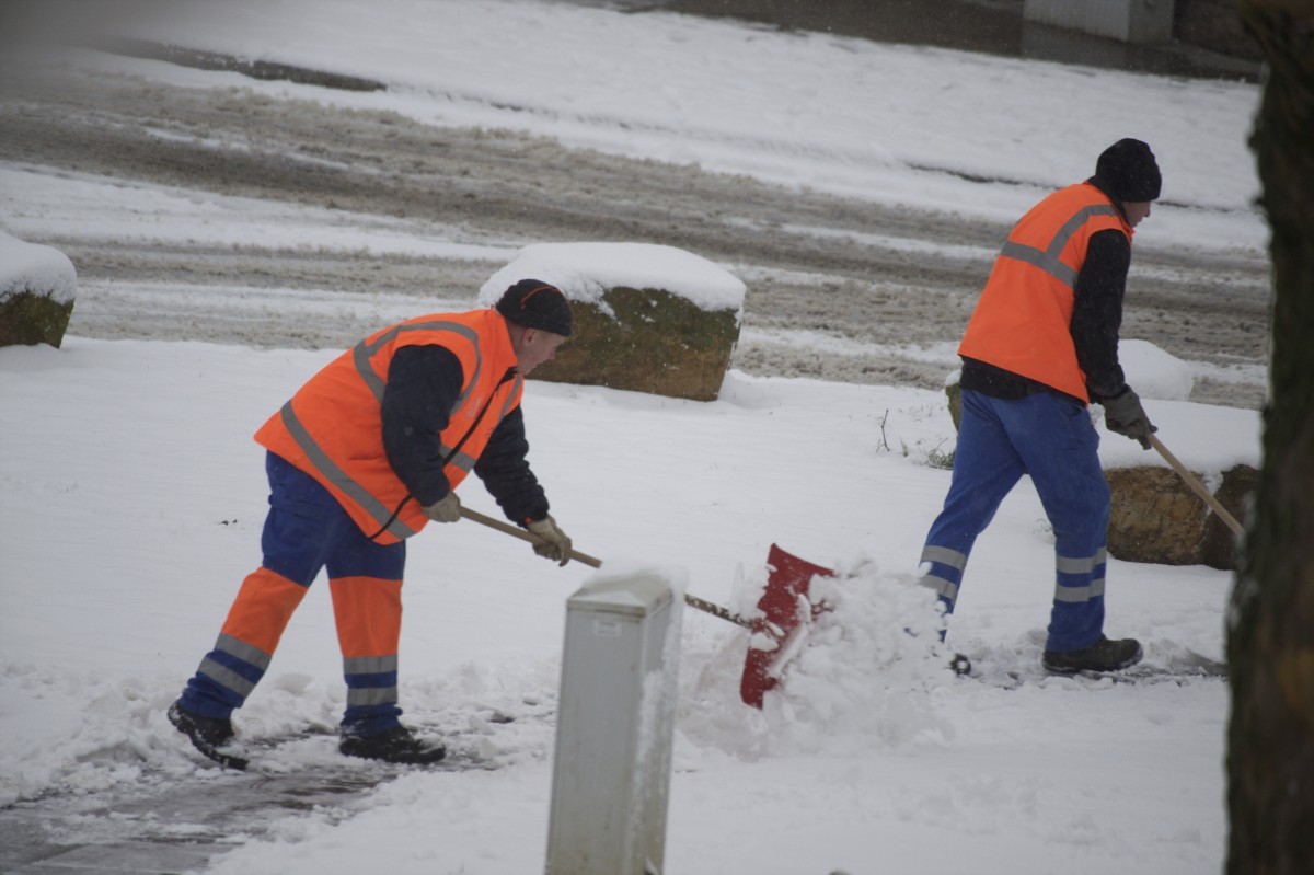 30.01.2019_Editpress_454400