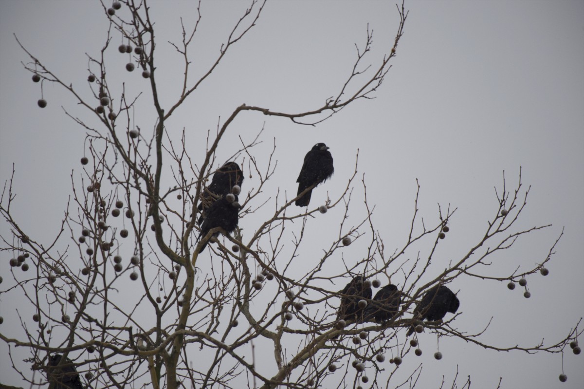 30.01.2019_Editpress_454401