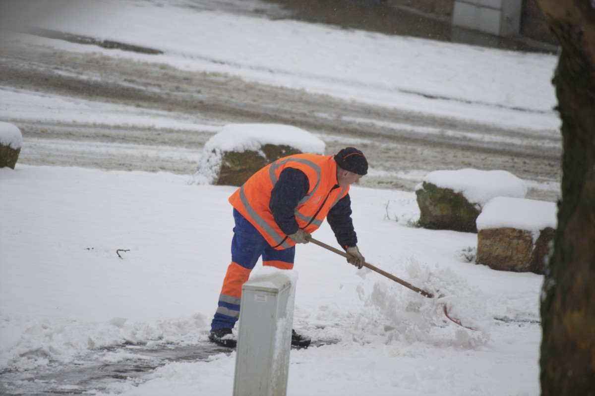 30.01.2019_Editpress_454407