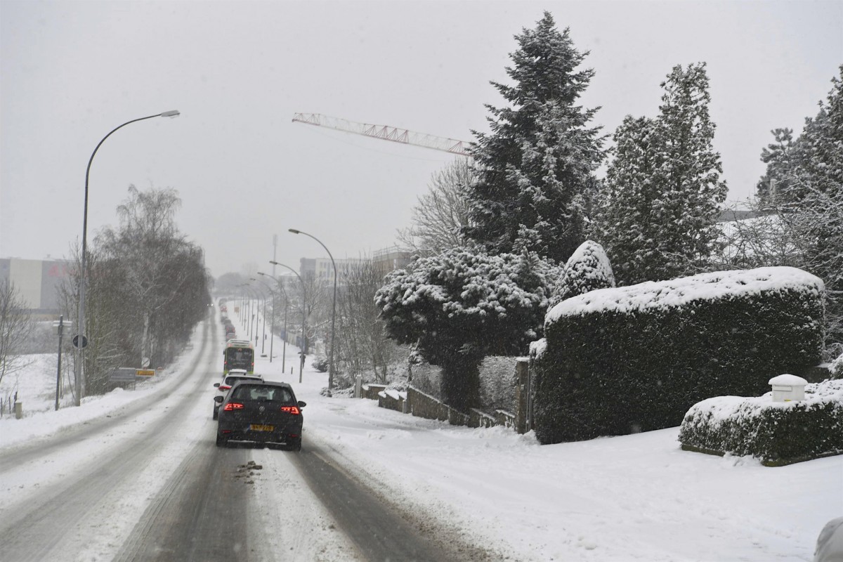 30.01.2019_Editpress_454413