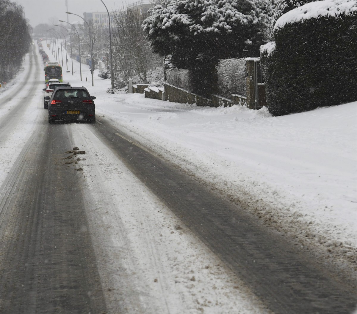 30.01.2019_Editpress_454419