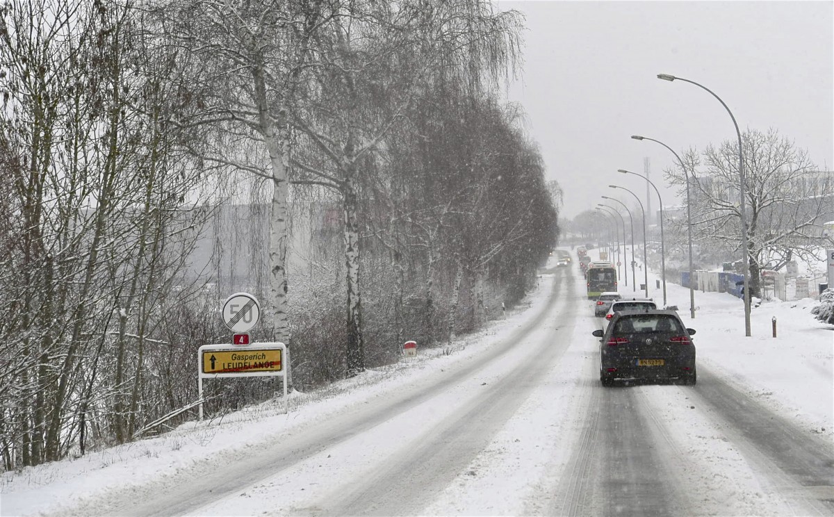 30.01.2019_Editpress_454420