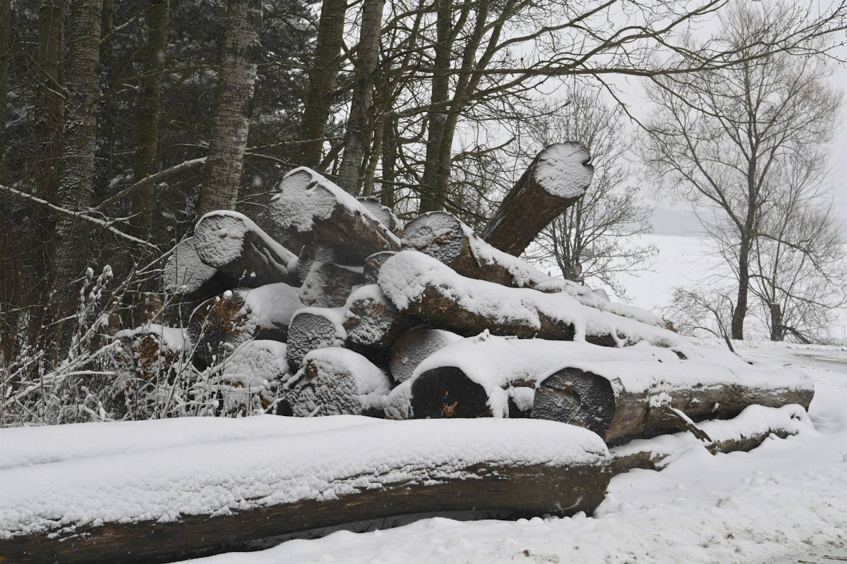 30.01.2019_Editpress_454424