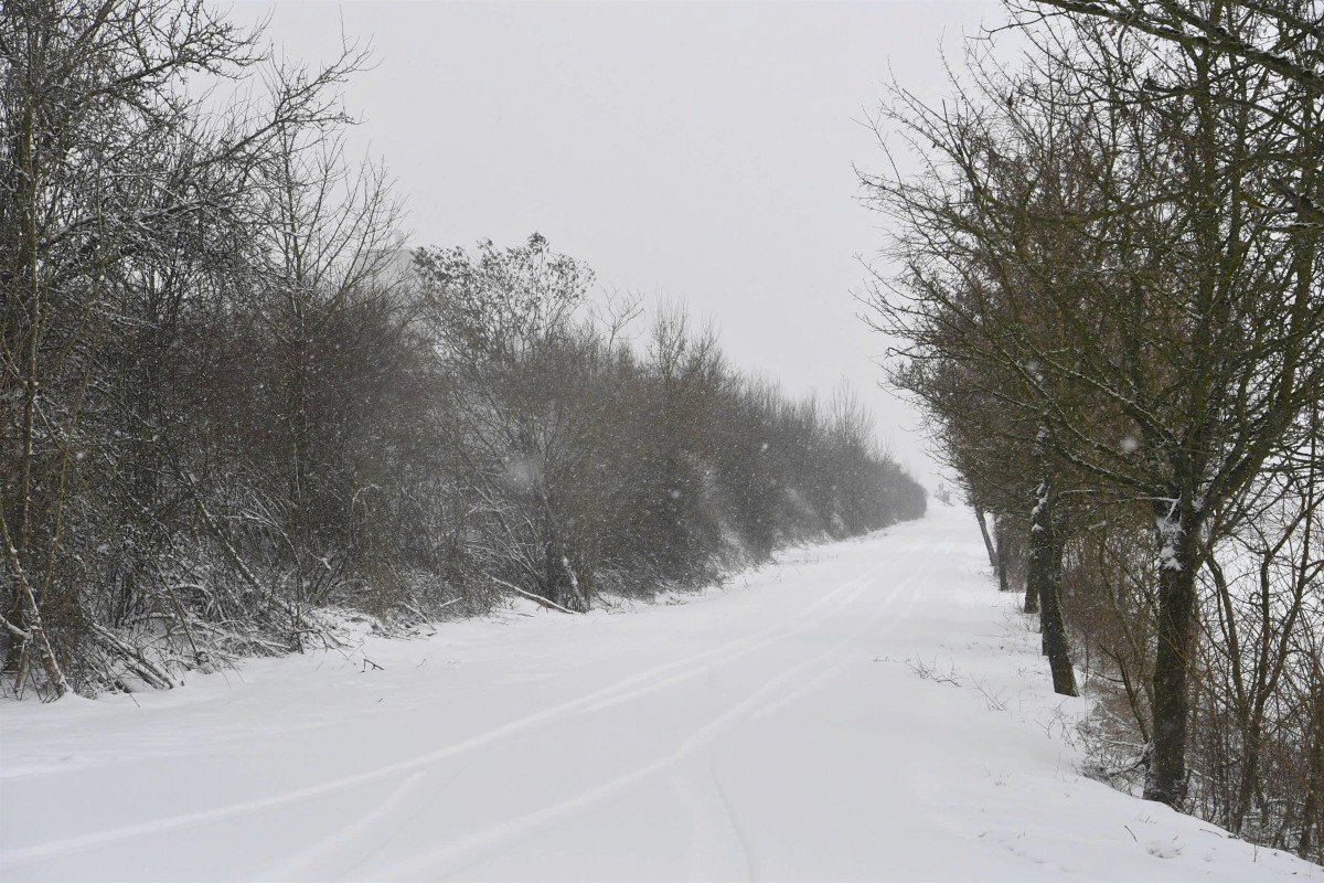 30.01.2019_Editpress_454425