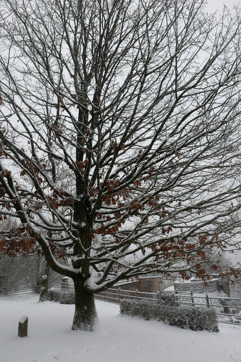 30.01.2019_Editpress_454459