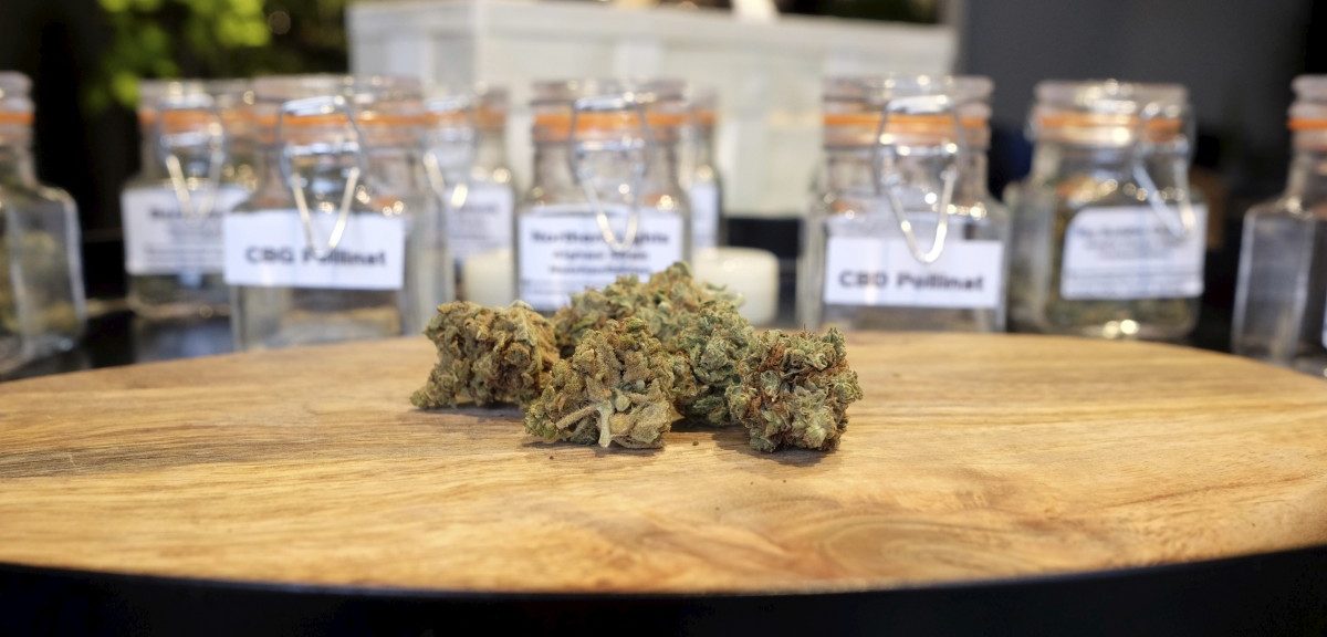 CBD nun auch im Norden: Hanfladen Mavelos hat in Ettelbrücker Fußgängerzone eröffnet