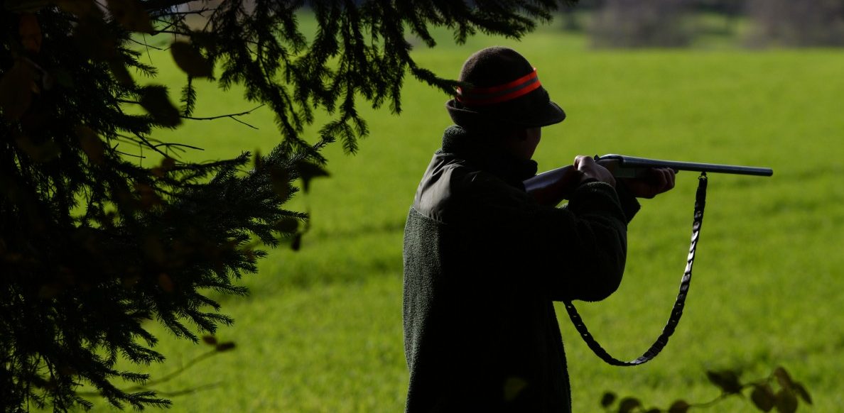 Umweltministerin Carole Dieschbourg erwägt kein Verbot der Treibjagd
