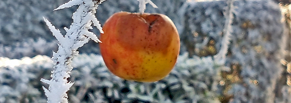 Der Winter kommt (ein bisschen) zurück nach Luxemburg