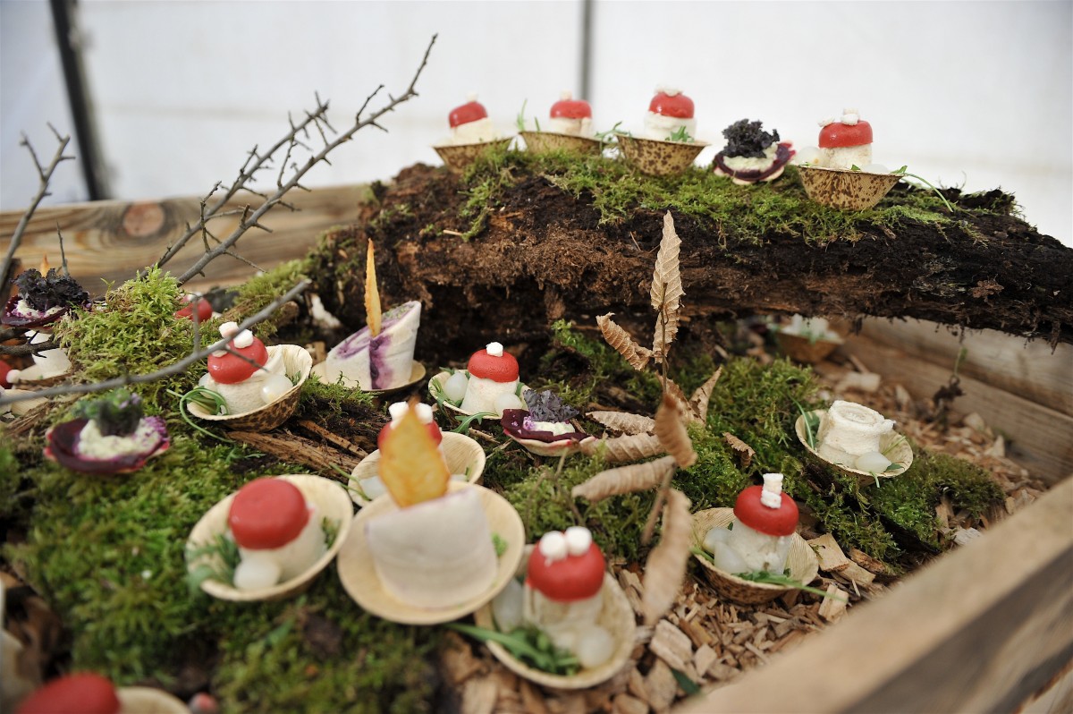 12.02.2019_Editpress_456344