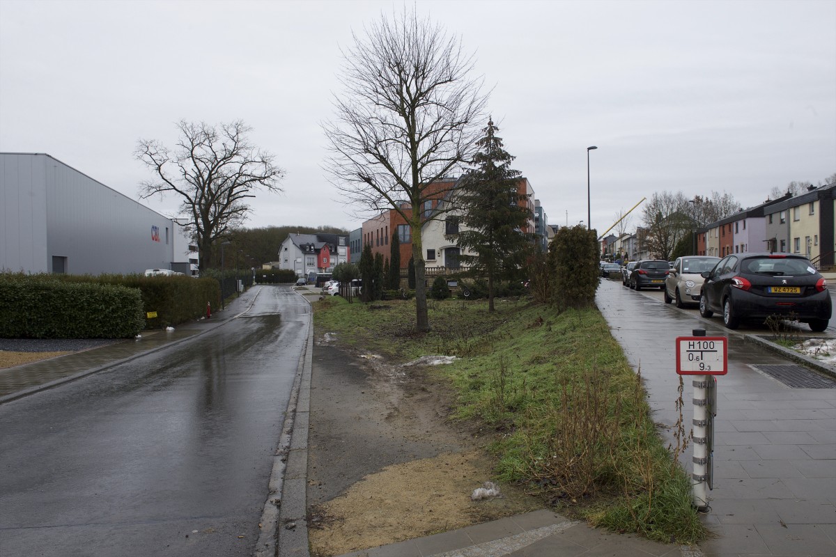 490_0008_15066858_07_02_2019_Editpress_455525