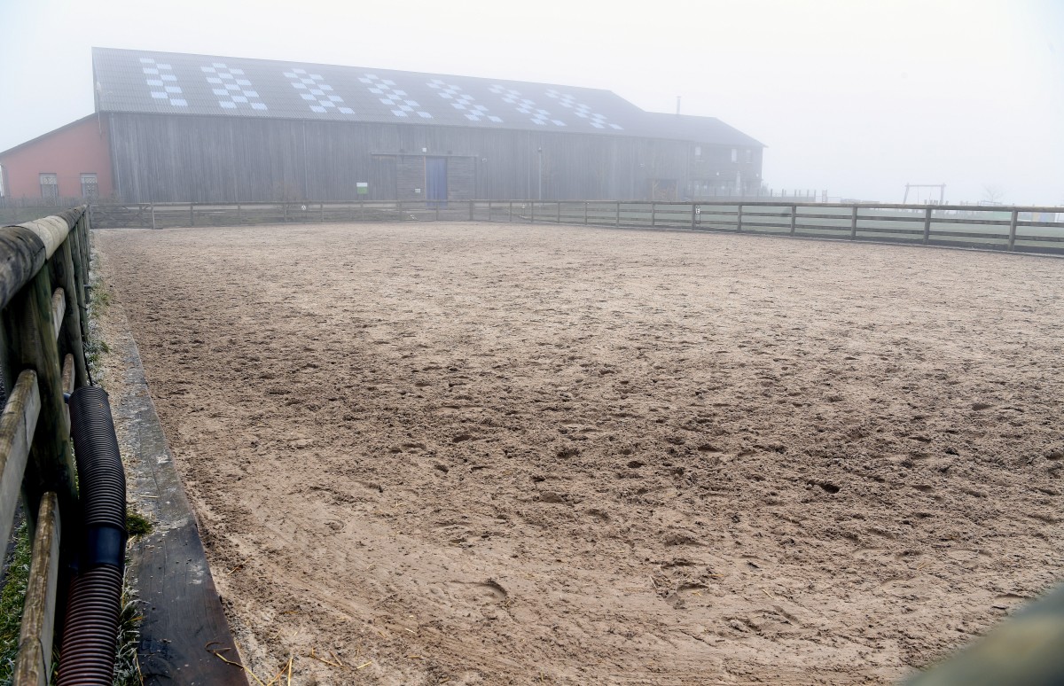 490_0008_15068241_14_02_2019_Editpress_456631