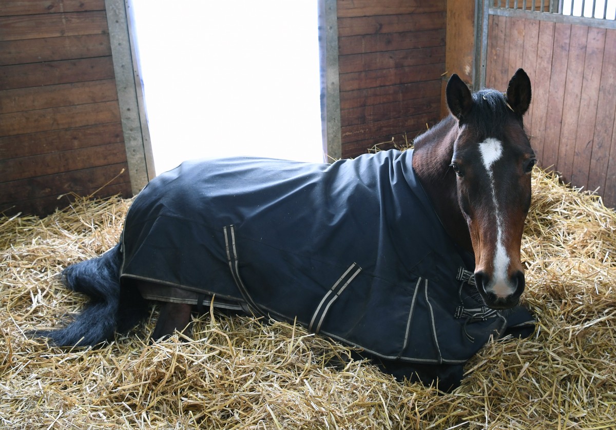 490_0008_15068242_14_02_2019_Editpress_456632