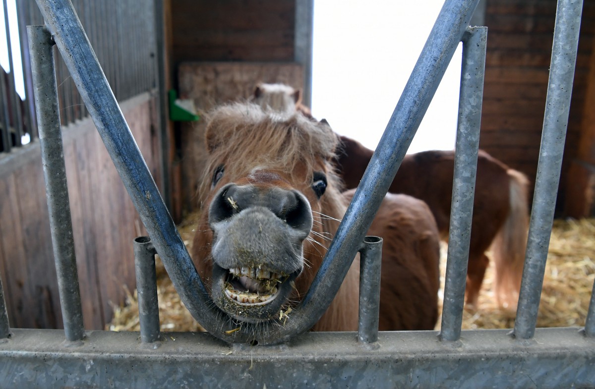 490_0008_15068244_14_02_2019_Editpress_456634