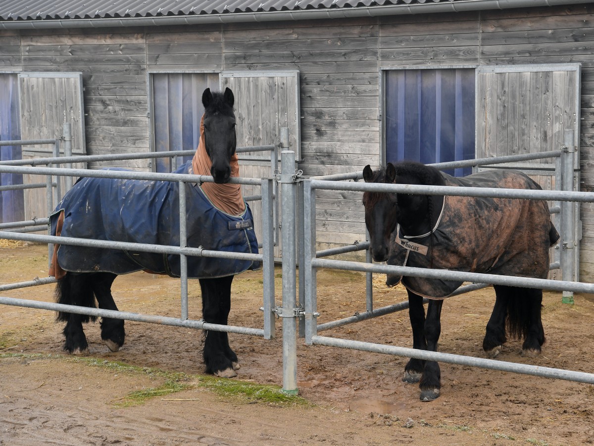 490_0008_15068245_14_02_2019_Editpress_456635