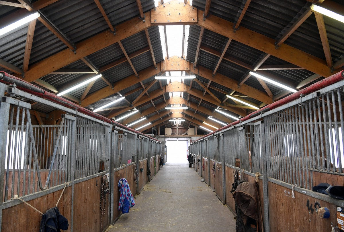 490_0008_15068246_14_02_2019_Editpress_456637