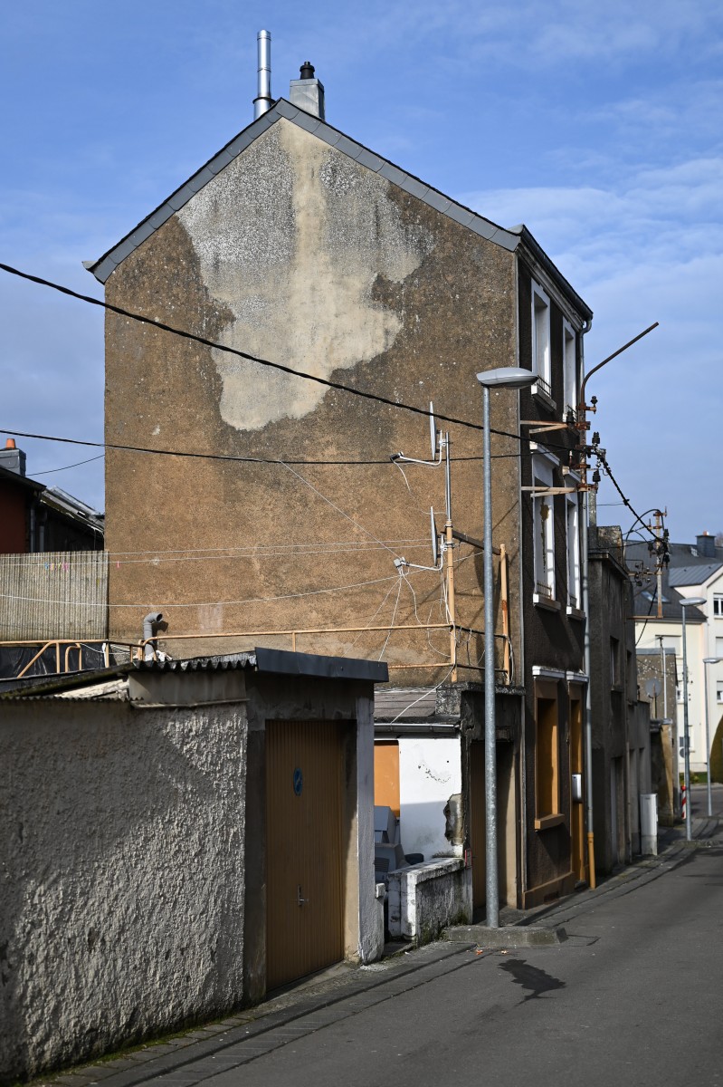 490_0008_15069453_20_02_2019_Editpress_457192