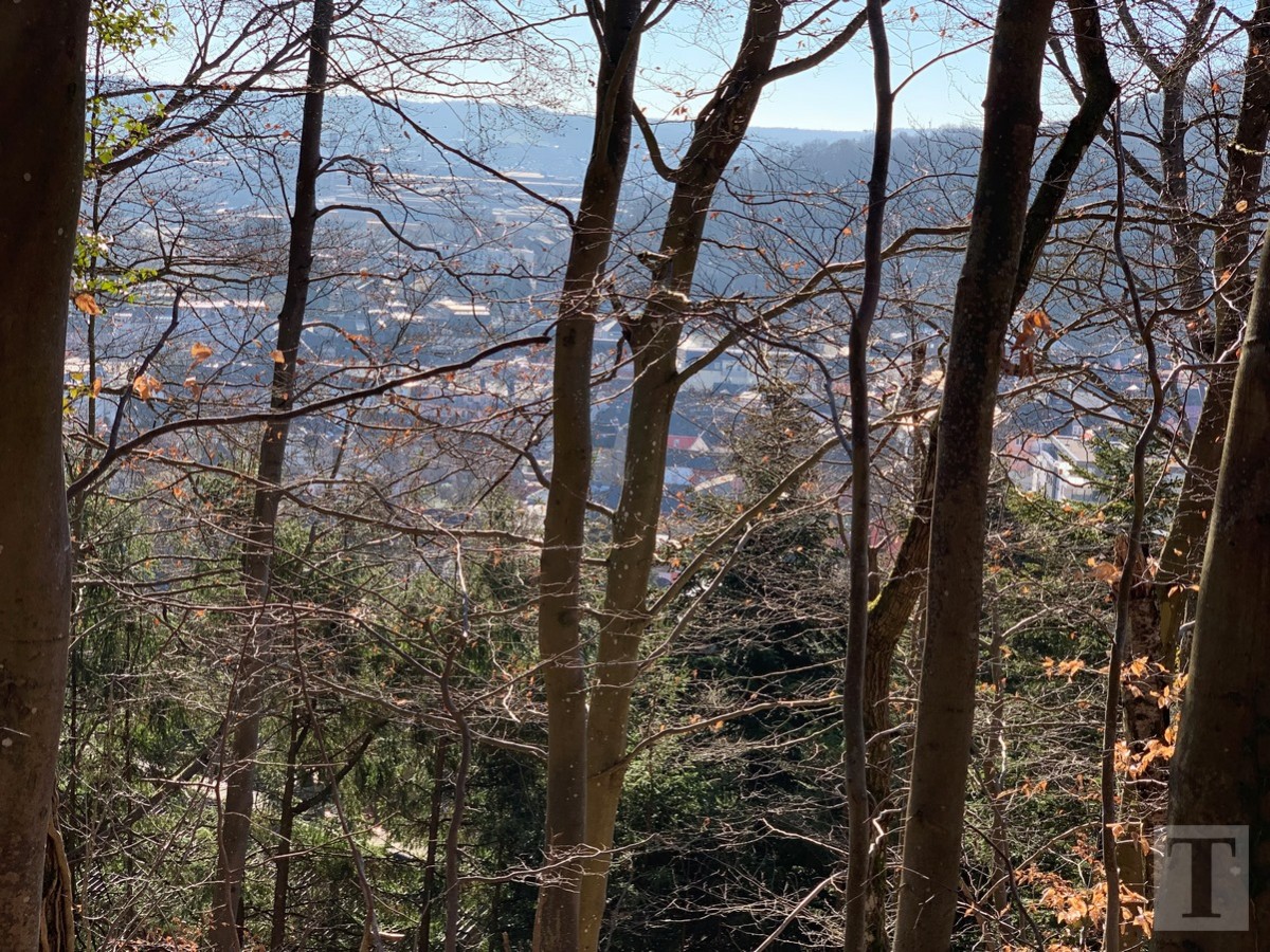 Promenade_février2019_Niederkorn_Oberkorn_Lasauvage_FonddeGras_2