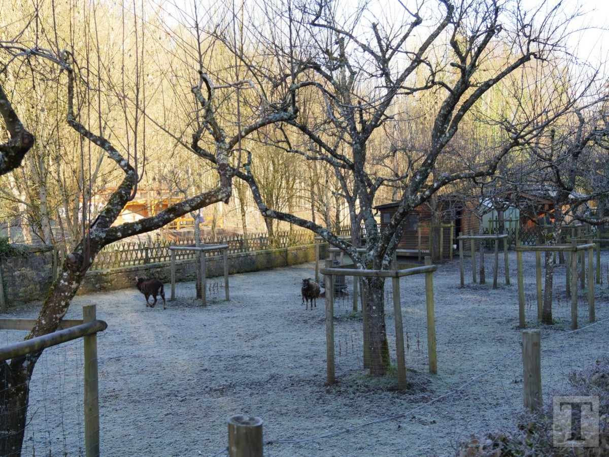 Promenade_février2019_Niederkorn_Oberkorn_Lasauvage_FonddeGras_20