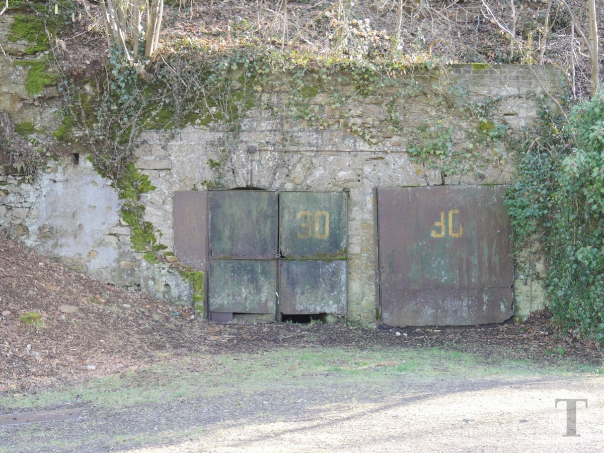 Promenade_février2019_Niederkorn_Oberkorn_Lasauvage_FonddeGras_26