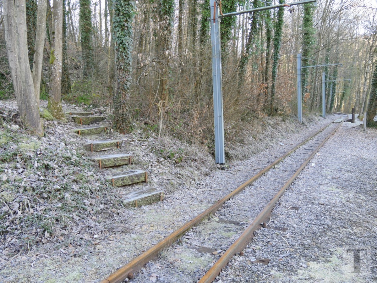 Promenade_février2019_Niederkorn_Oberkorn_Lasauvage_FonddeGras_29