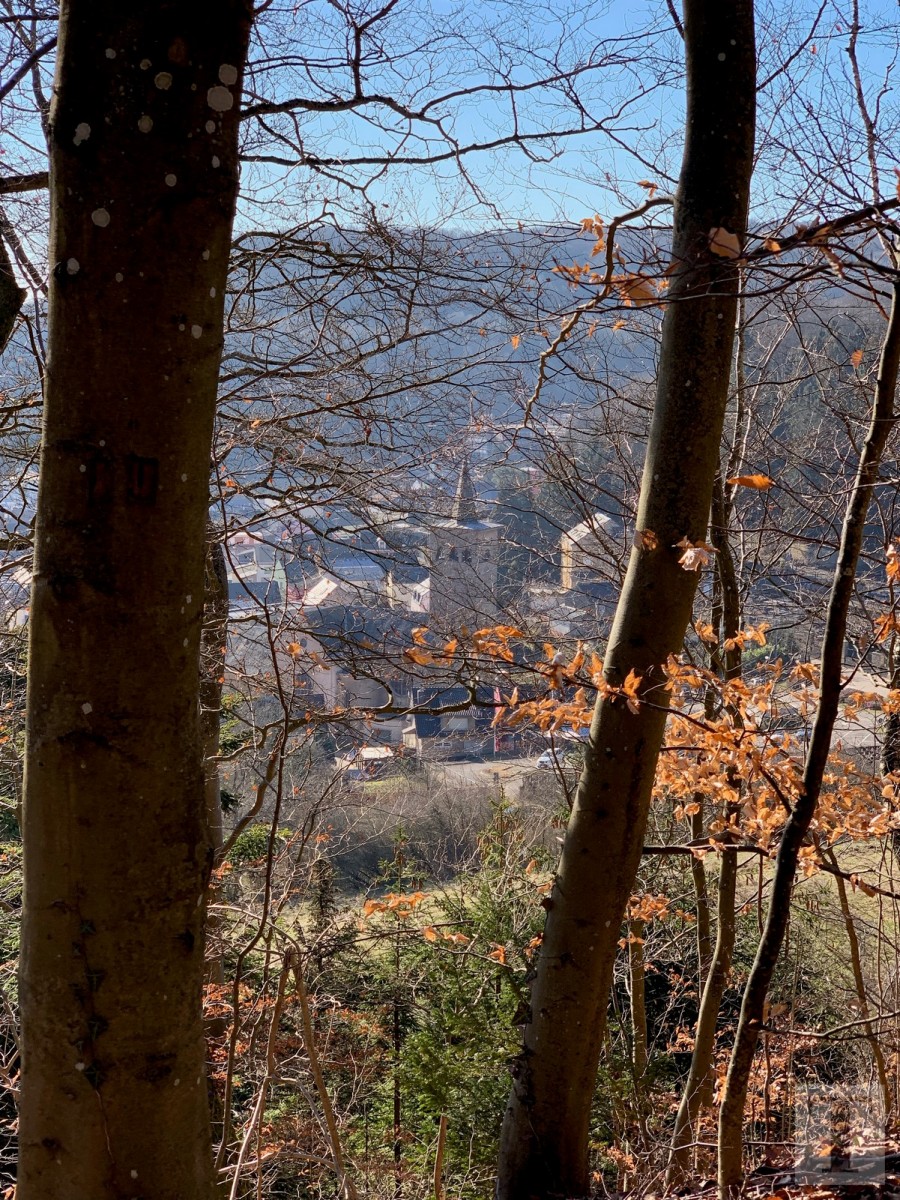 Promenade_février2019_Niederkorn_Oberkorn_Lasauvage_FonddeGras_3