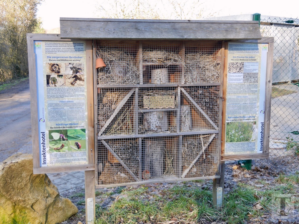 Promenade_février2019_Niederkorn_Oberkorn_Lasauvage_FonddeGras_30