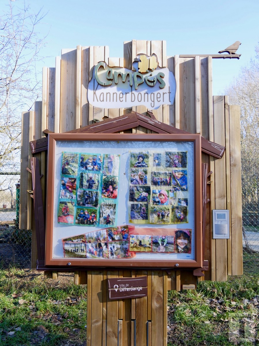 Promenade_février2019_Niederkorn_Oberkorn_Lasauvage_FonddeGras_31