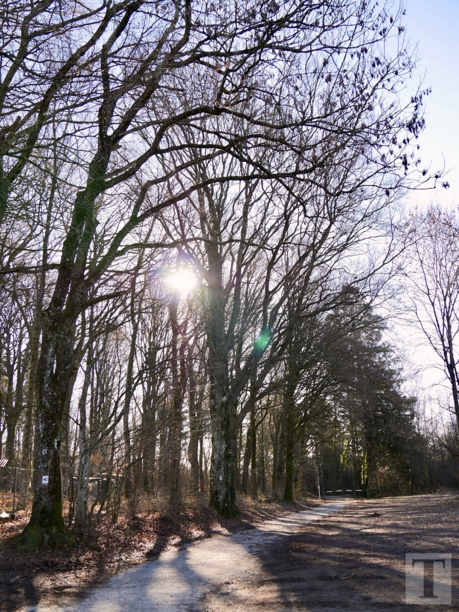 Promenade_février2019_Niederkorn_Oberkorn_Lasauvage_FonddeGras_33