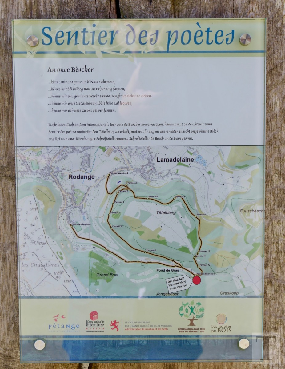 Promenade_février2019_Niederkorn_Oberkorn_Lasauvage_FonddeGras_40