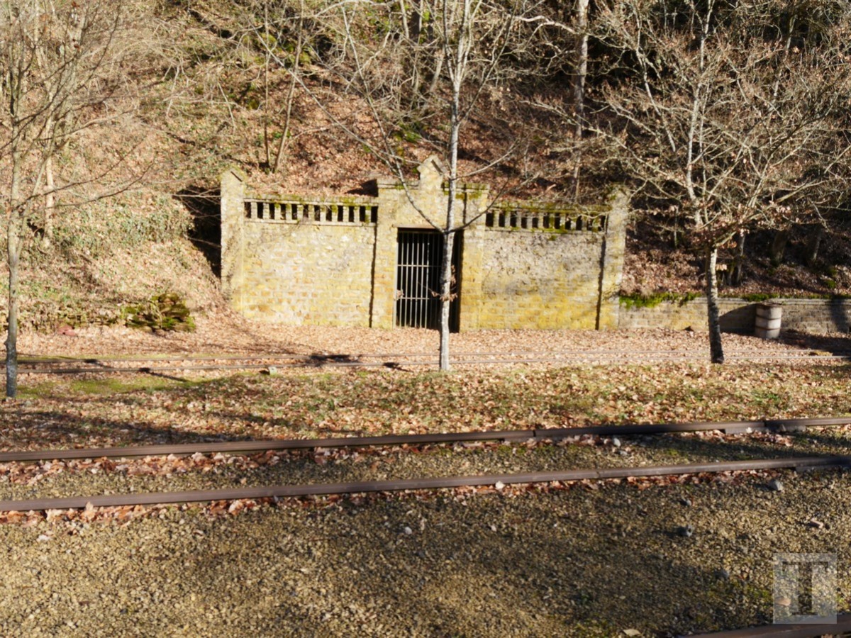 Promenade_février2019_Niederkorn_Oberkorn_Lasauvage_FonddeGras_48