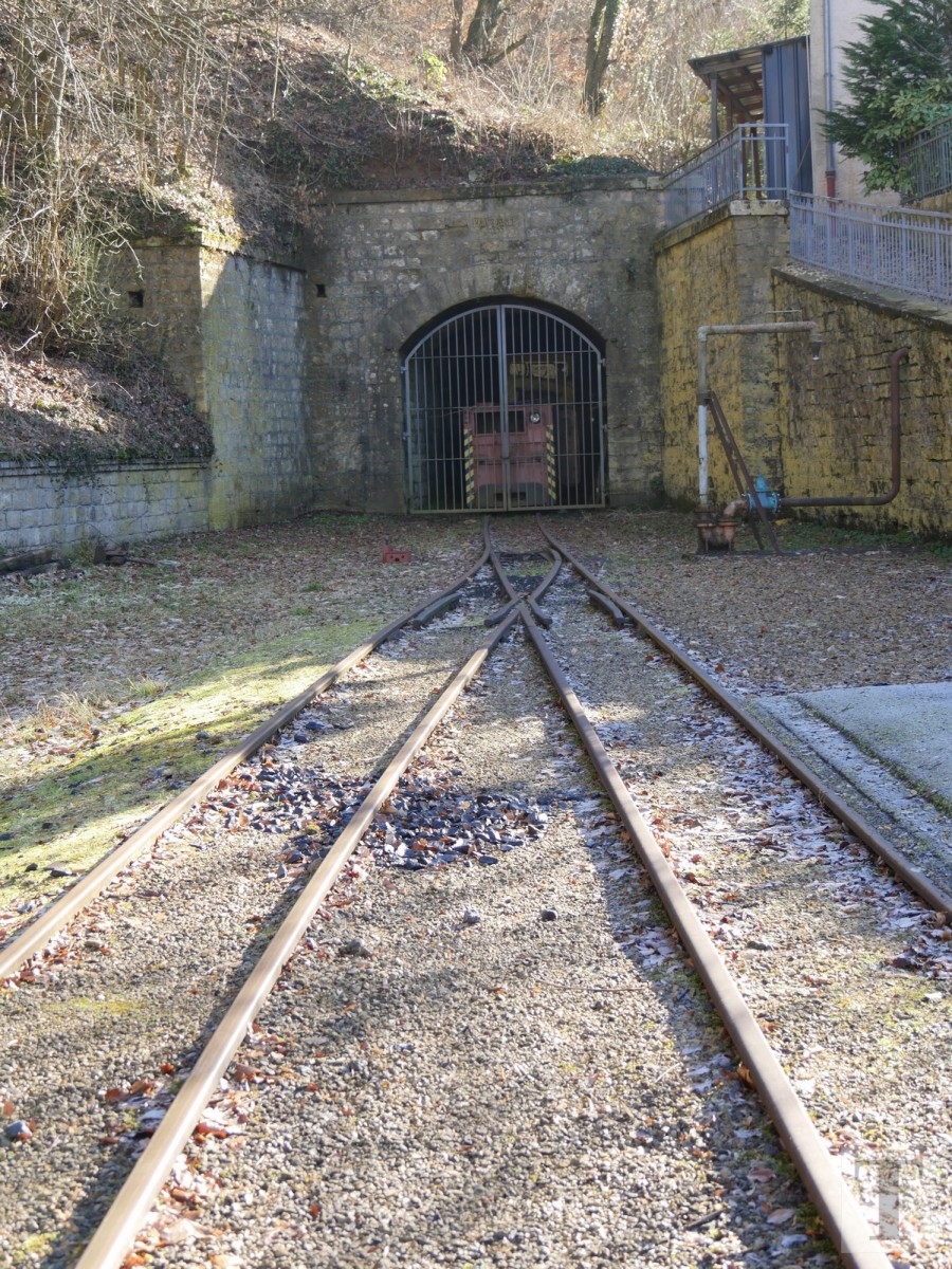 Promenade_février2019_Niederkorn_Oberkorn_Lasauvage_FonddeGras_49