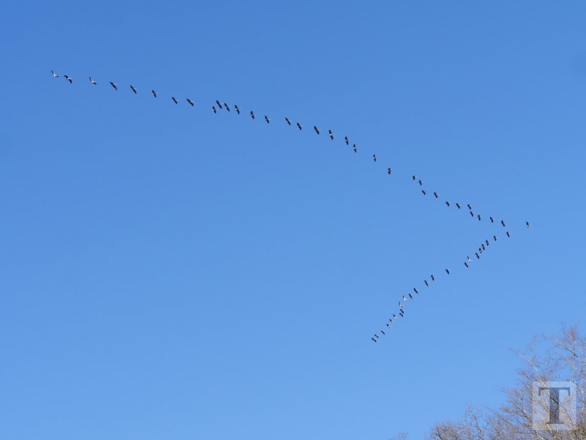 Promenade_février2019_Niederkorn_Oberkorn_Lasauvage_FonddeGras_53